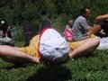 la petite sieste au soleil pour Yann