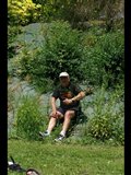Momo dans les arbres
