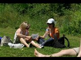 Virginie étudie le plan